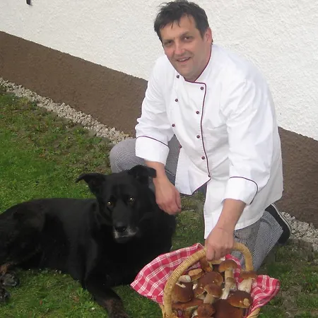 Gasthof-pension Leupold Hotel *